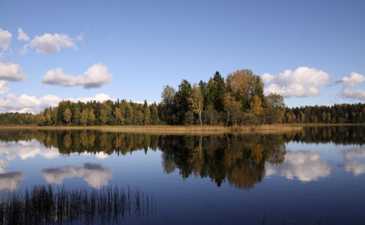 14_Gaidsalė. Sigito Kazlausko n.jpg